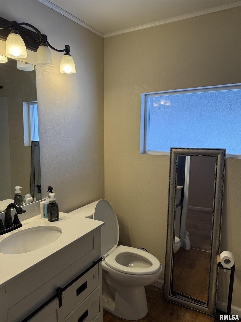 2407 Selmaville Road Salem, IL 62881 - Photo 16 of 19 a bathroom with a sink toilet and mirror