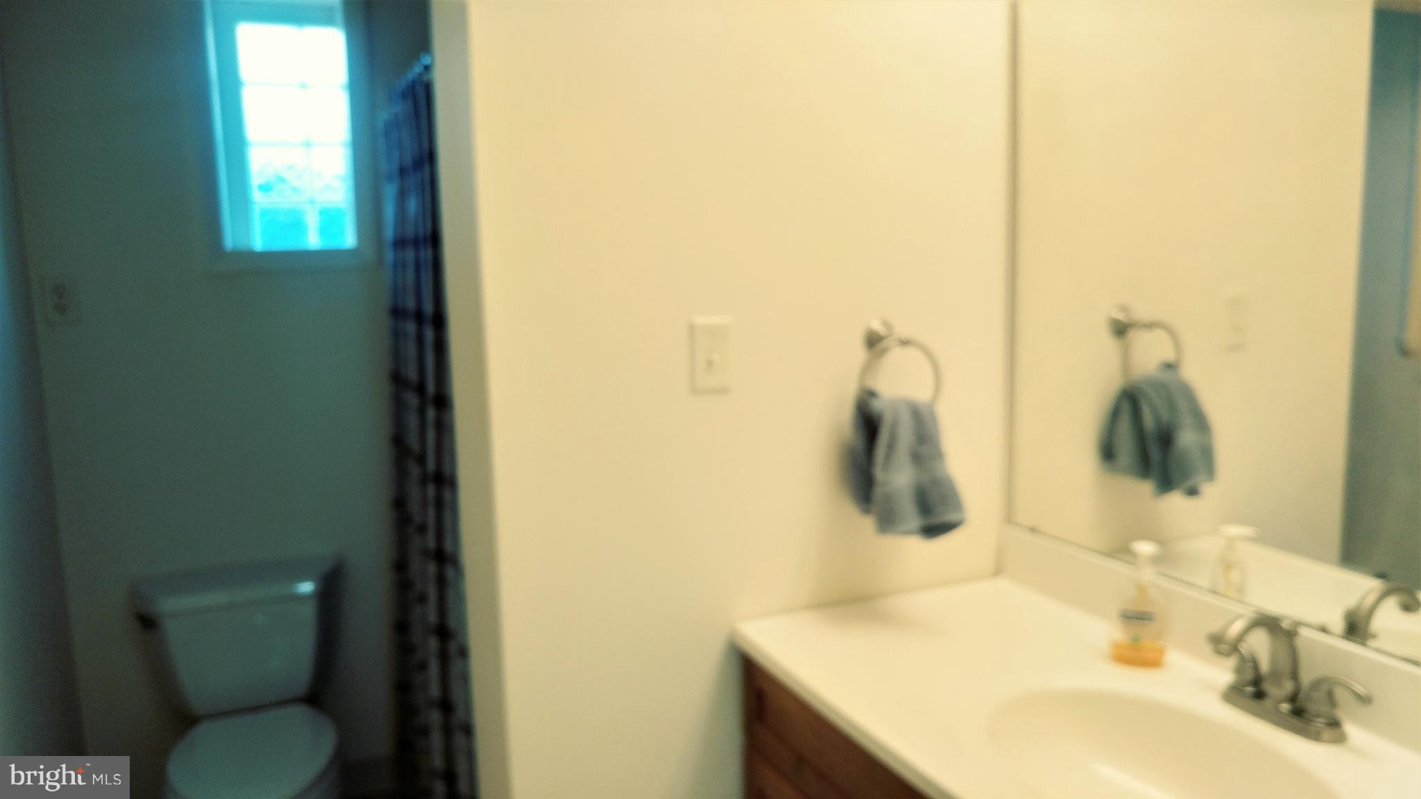 1229 Braddock Road Lavale, MD 21502 - Photo 13 of 19 New full bath off family room.