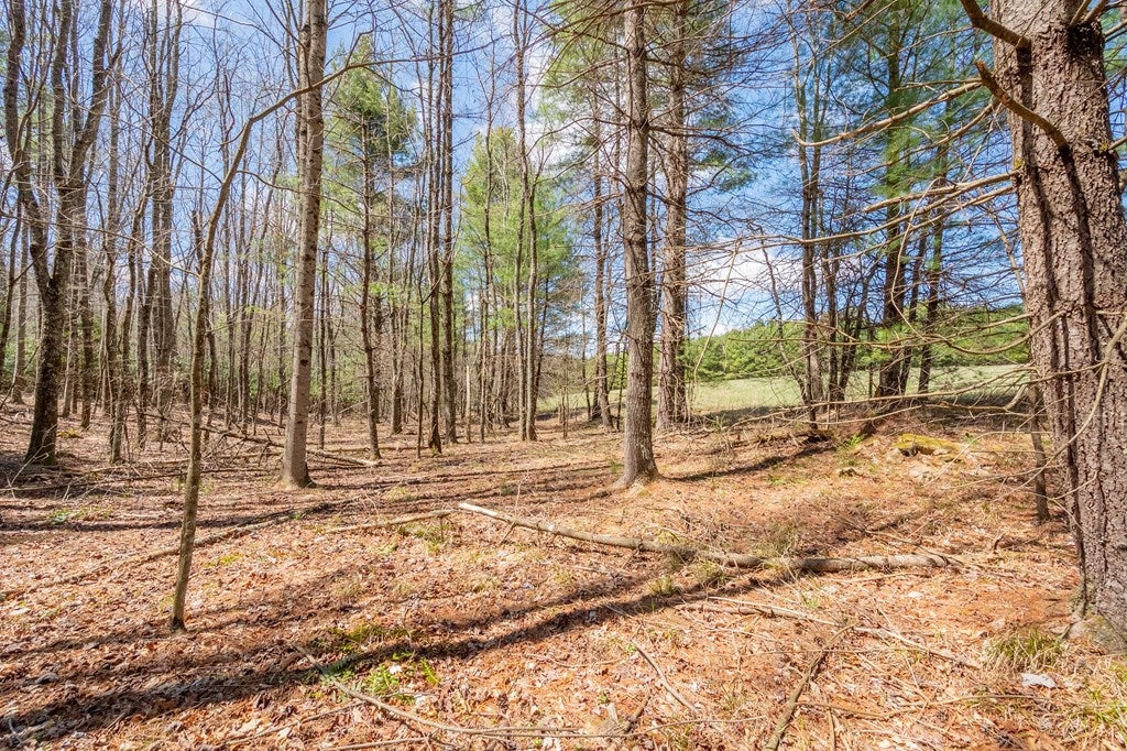0 Windsor Road Northwest, Unit 3 Willis, VA 24380 - Photo 38 of 47 Gallery Image 38