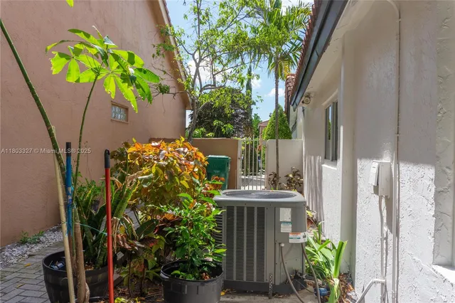 a view of a garden with plants
