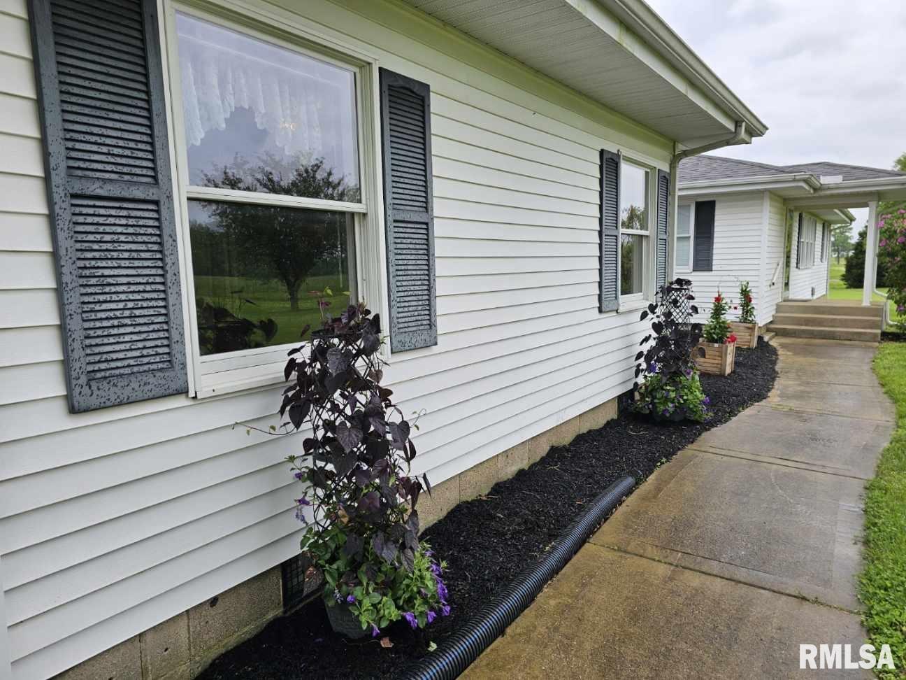 16485 East Robin Road Mount Vernon, IL 62864 - Photo 19 of 51 a potted plant sitting in front of a house
