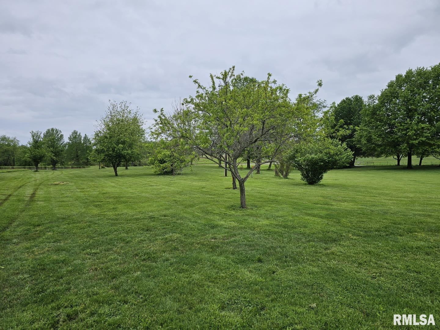 16485 East Robin Road Mount Vernon, IL 62864 - Photo 21 of 51 a garden with trees in the background