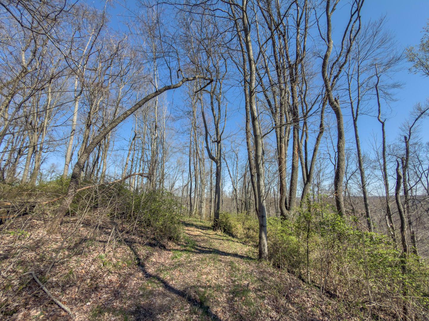 0 Cox Road Logan, OH 43138 - Photo 23 of 50 IMG_1476