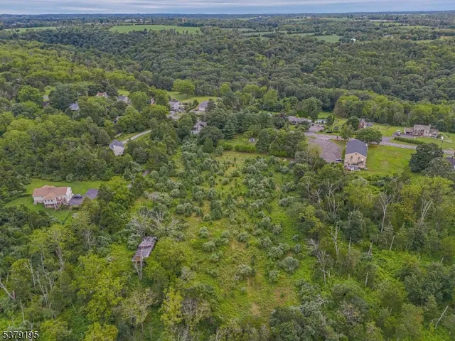 an aerial view of a town with trees