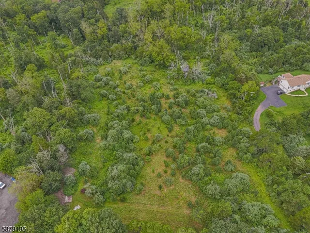 a view of a lush green field