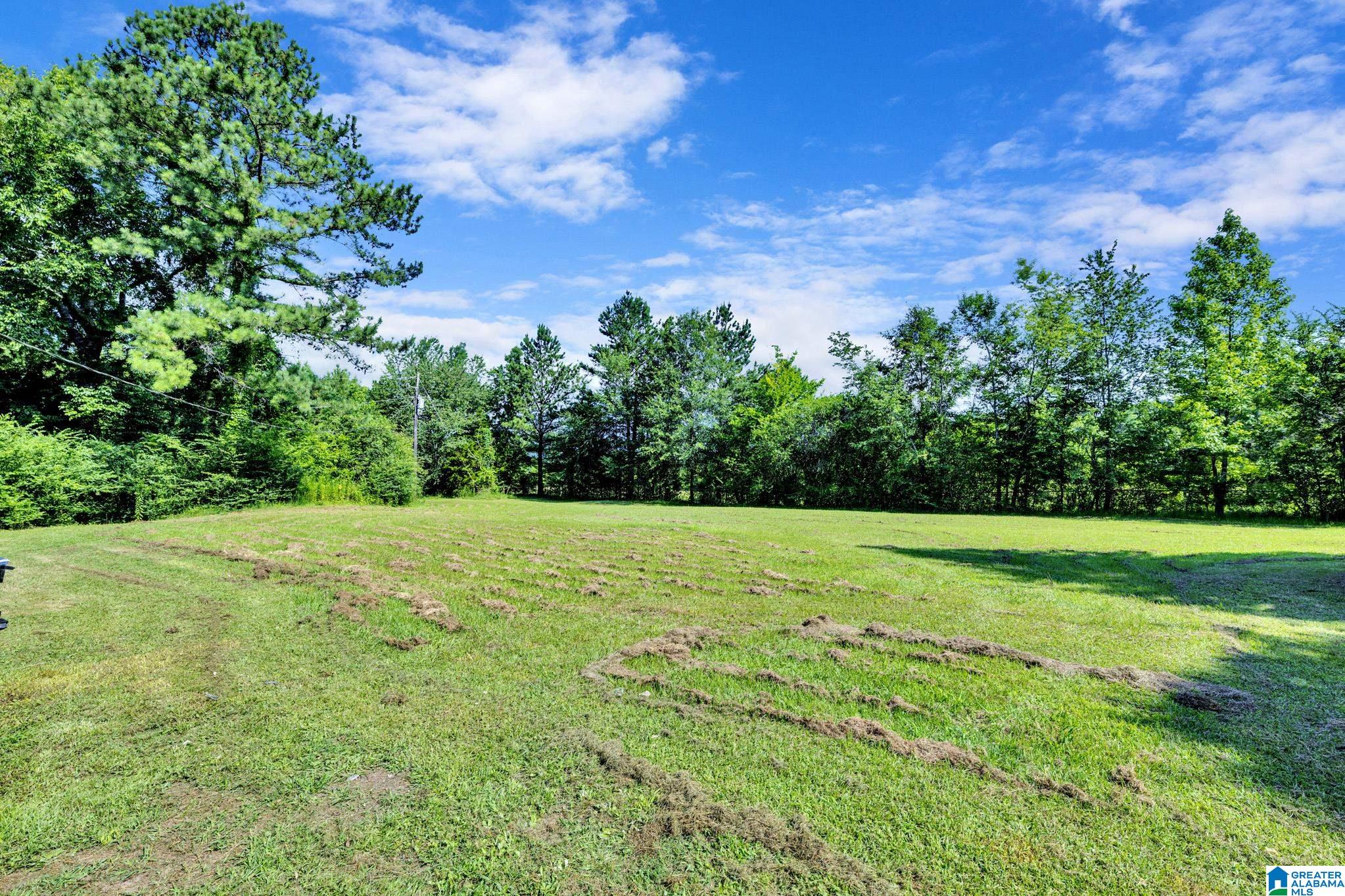 395 Hollingsworth Road Cleveland, AL 35049 - Photo 4 of 27