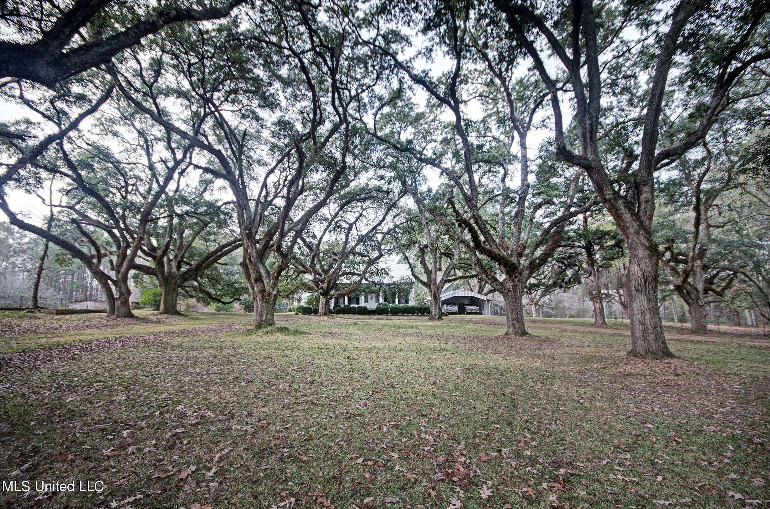 12887 Springridge Road Terry, MS 39170 - Photo 1 of 39 IMGP9051_2_3