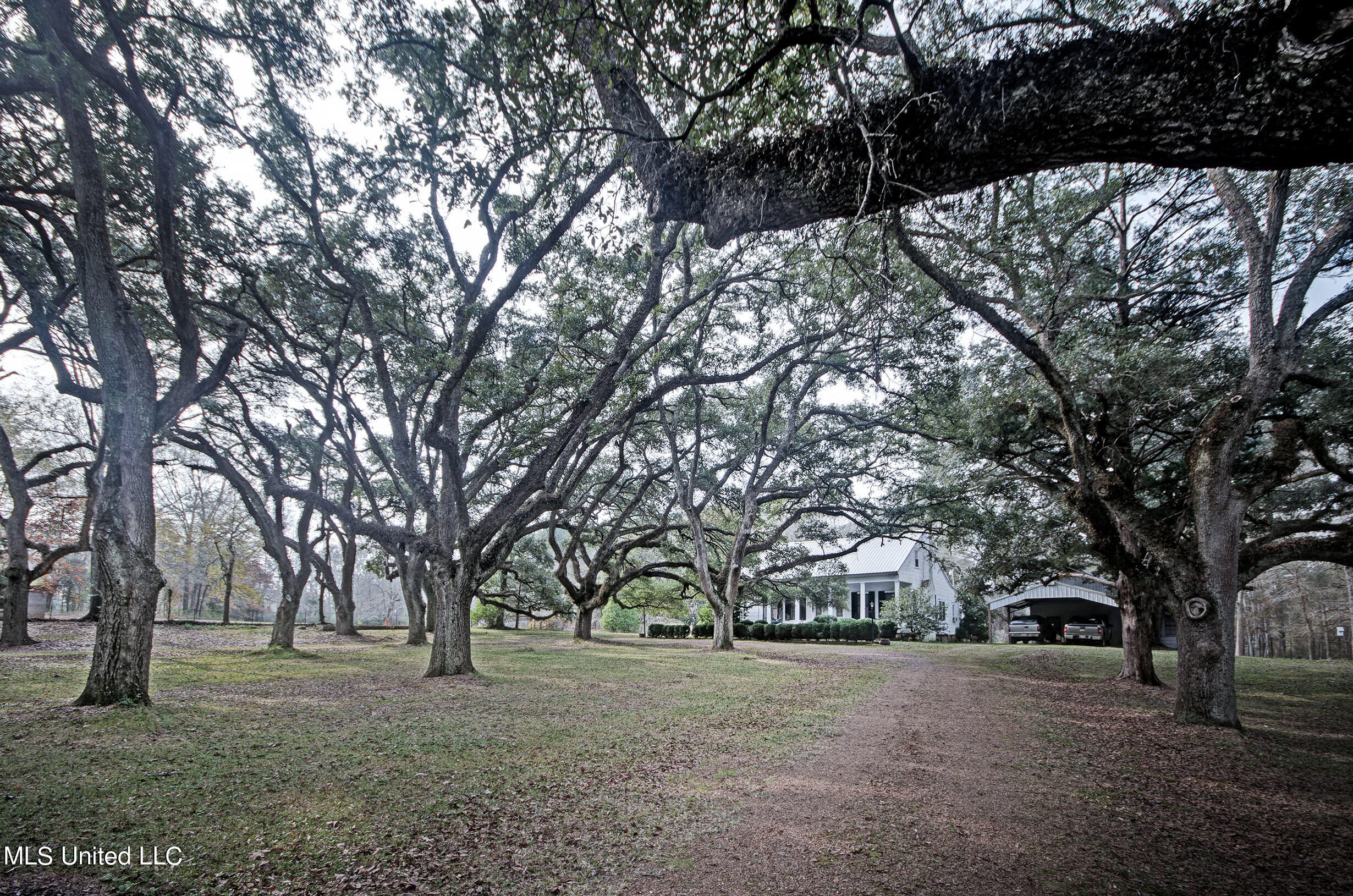 12887 Springridge Road Terry, MS 39170 - Photo 2 of 39 IMGP9064_5_6