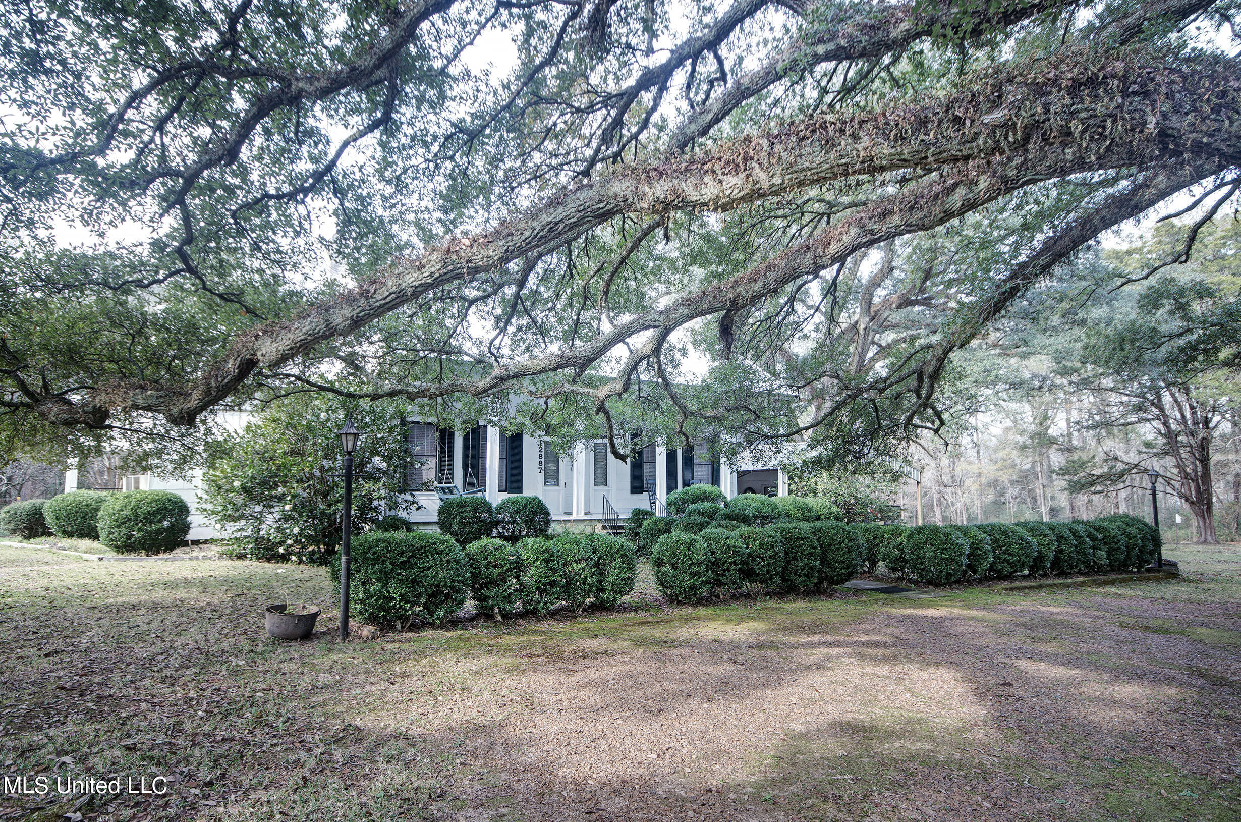 12887 Springridge Road Terry, MS 39170 - Photo 3 of 39 IMGP9082_3_4