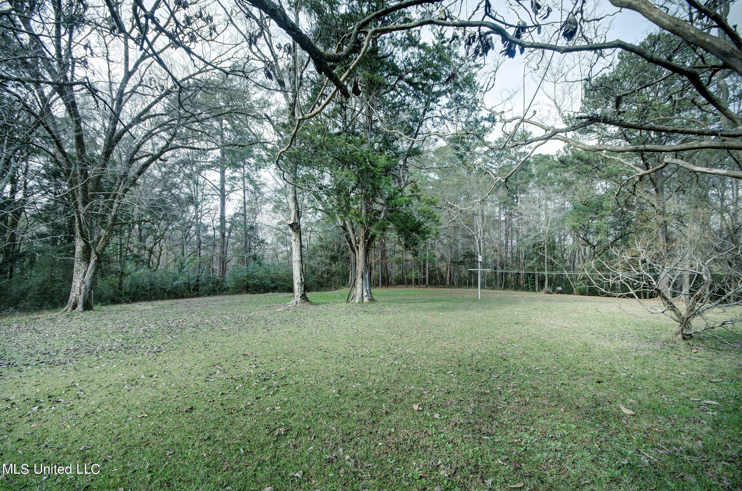 12887 Springridge Road Terry, MS 39170 - Photo 10 of 39 IMGP9114_5_6