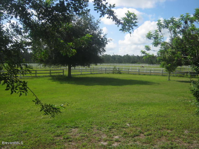 117 Deer Run Road Palm Bay, FL 32909 - Photo 3 of 14 Backyard
