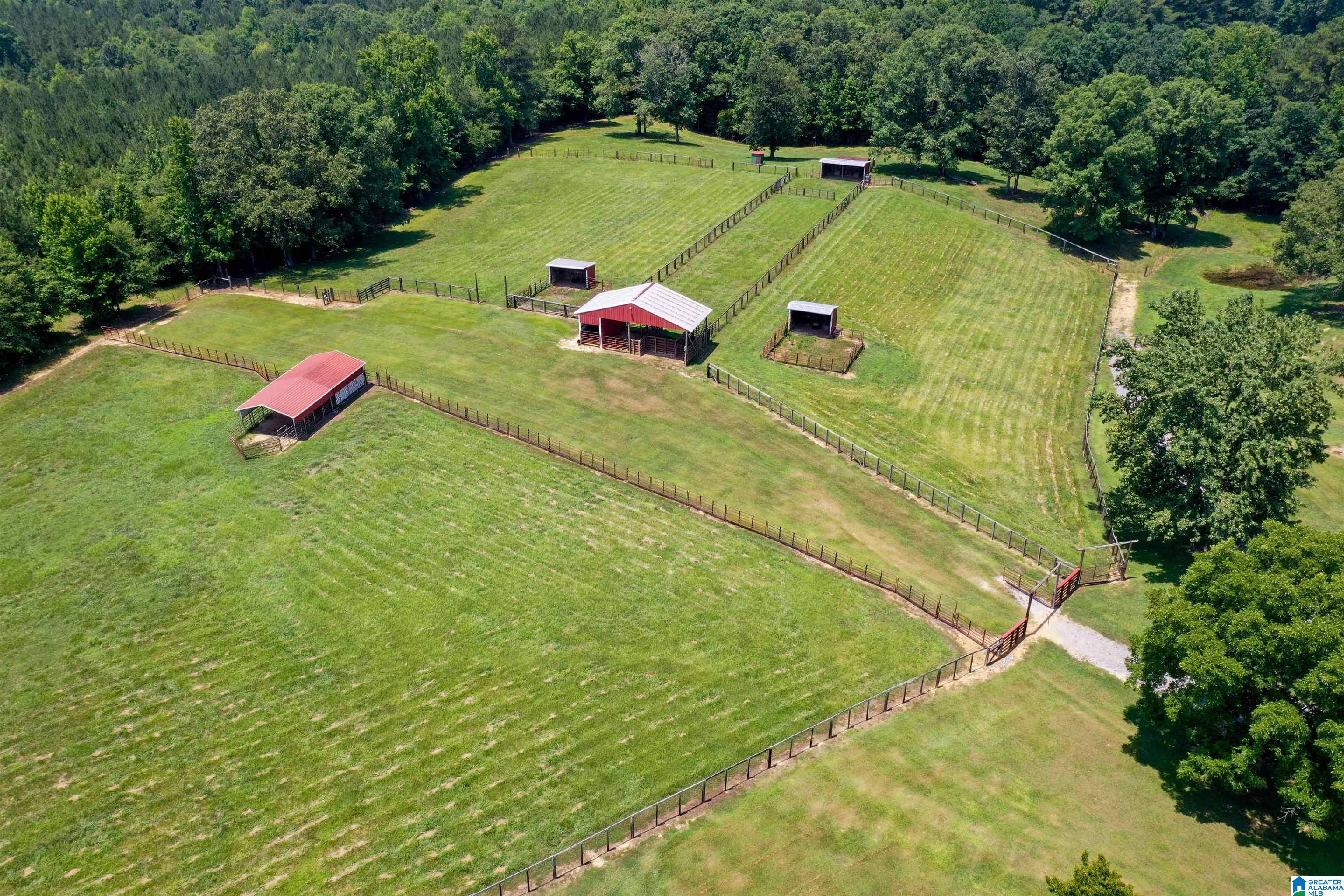 650 County Highway 13 Cleveland, AL 35049 - Photo 39 of 41