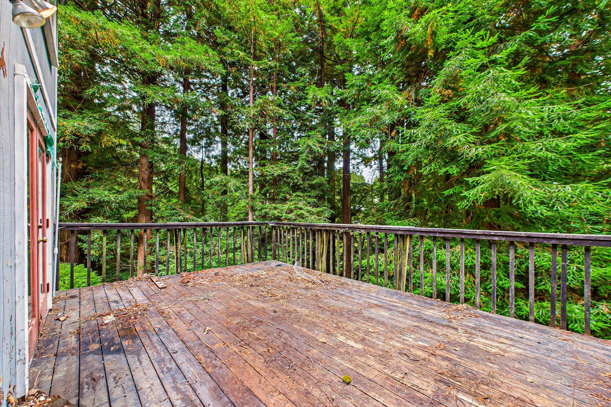 119 Sylva Street Arcata, CA 95521 - Photo 35 of 35 a balcony with trees in front of it