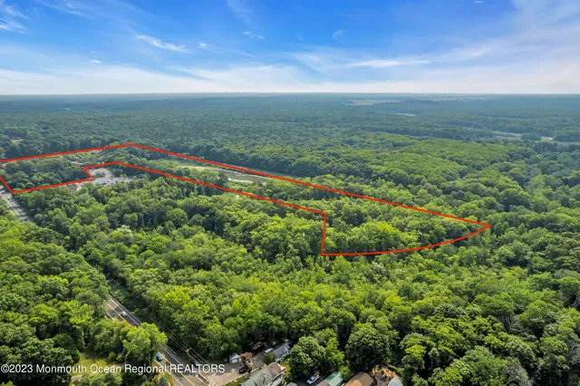 a view of a garden with an outdoor space