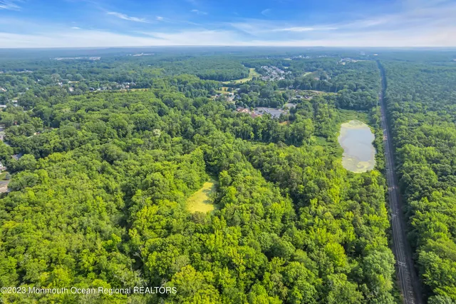 an aerial view of residential houses with outdoor space and trees