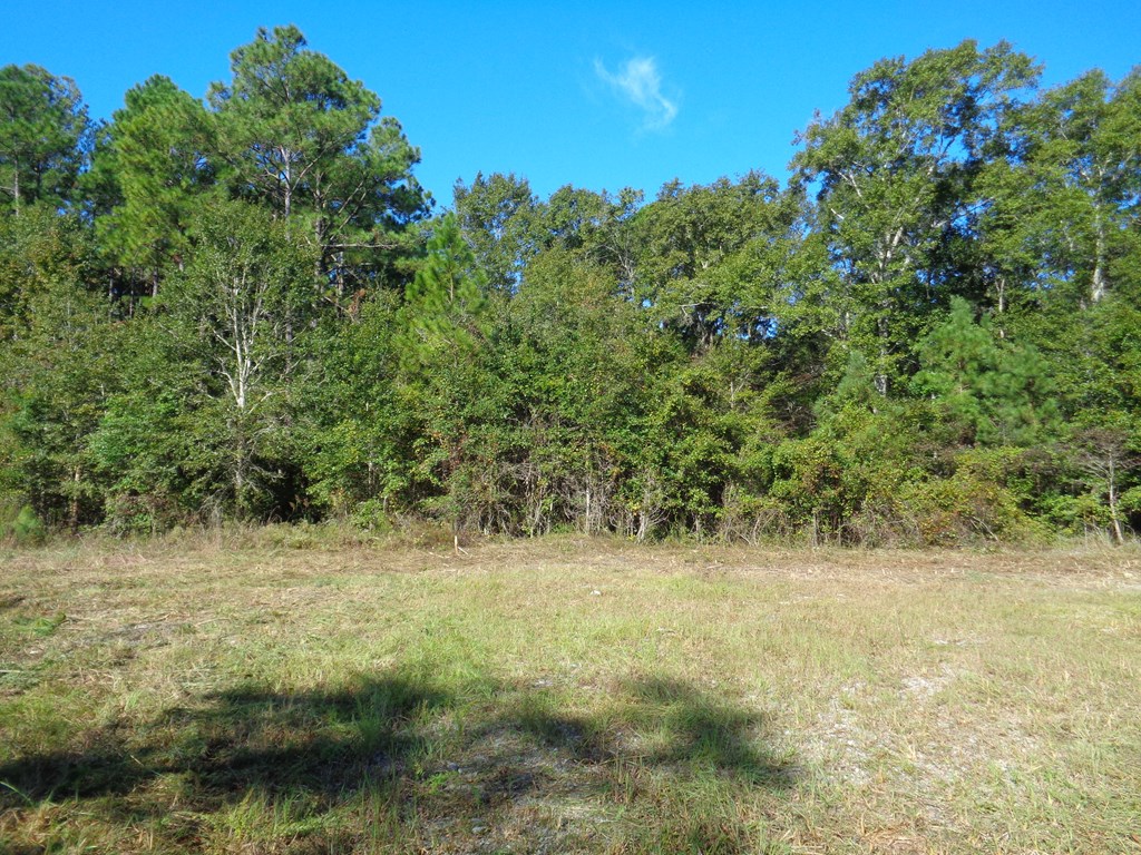 148-ac Skipper Road Slocomb, AL 36375 - Photo 4 of 23