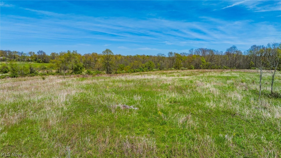 0 McClintocksburg Road, Unit A Diamond, OH 44412 - Photo 5 of 11