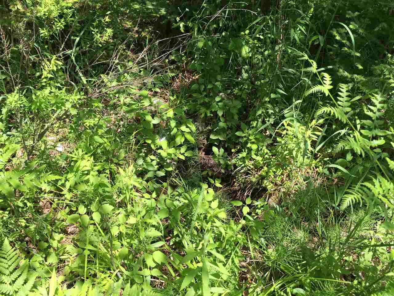 Brown Road Manton, MI 49663 - Photo 11 of 16 Gallery Image 11