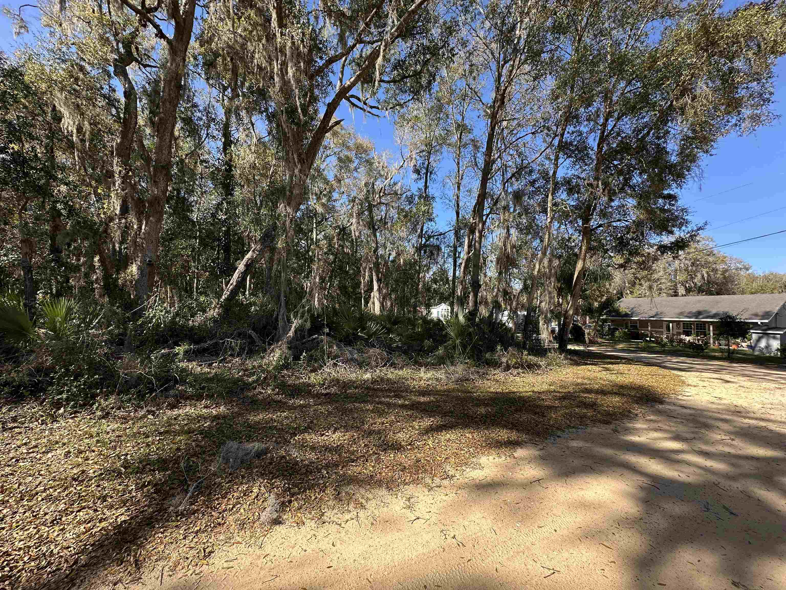 0 Indian Mound Road Satsuma, FL 32189 - Photo 13 of 18 a view of dirt yard with a large tree
