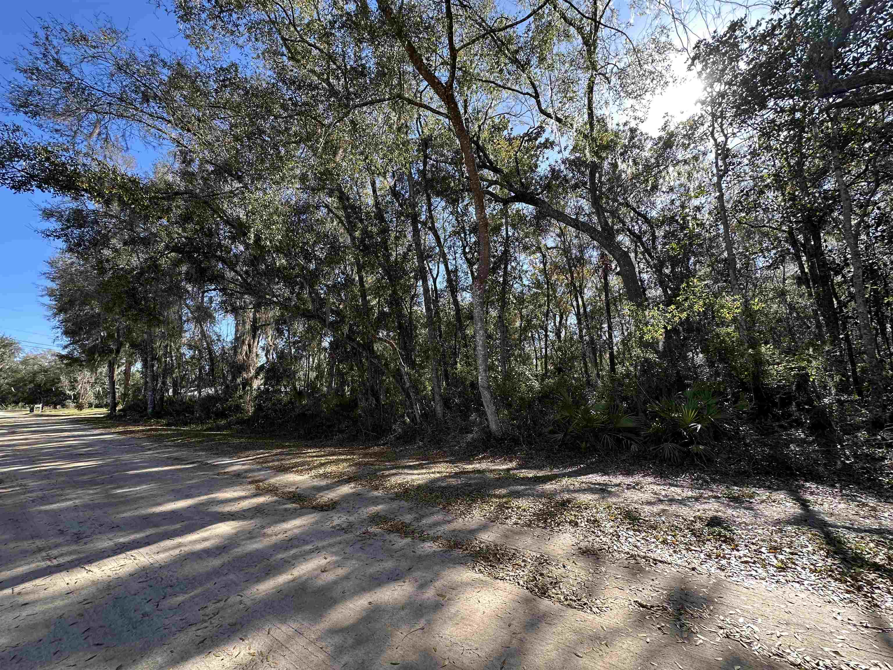0 Indian Mound Road Satsuma, FL 32189 - Photo 17 of 18 a view of backyard with green space