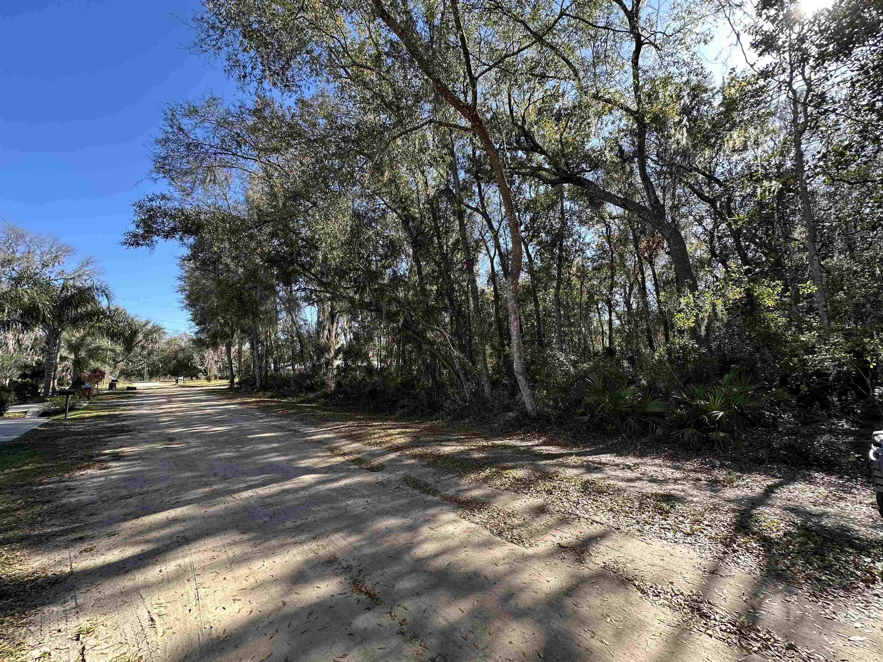 0 Indian Mound Road Satsuma, FL 32189 - Photo 18 of 18 a view of a backyard with large trees