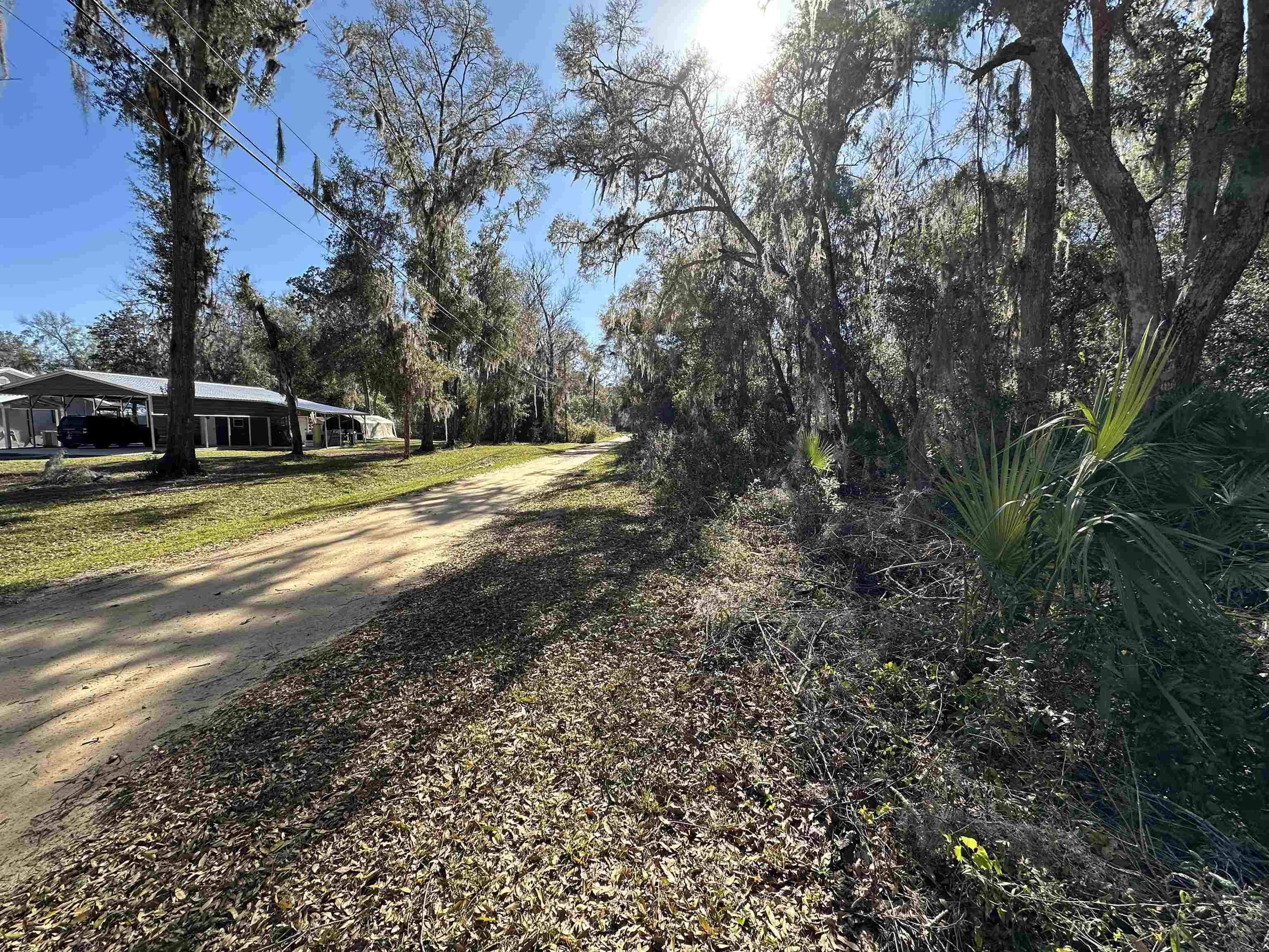 0 Indian Mound Road Satsuma, FL 32189 - Photo 9 of 18 a view of a yard with plants and large trees