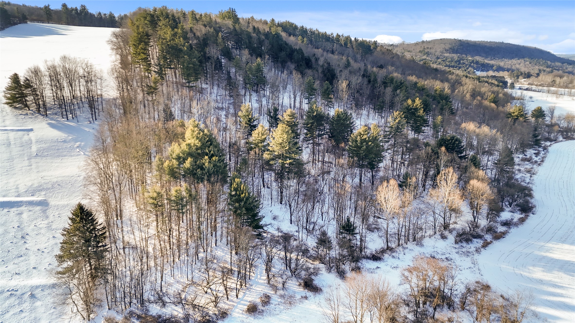 206 Wade Hollow Road Owego, NY 13827 - Photo 12 of 23