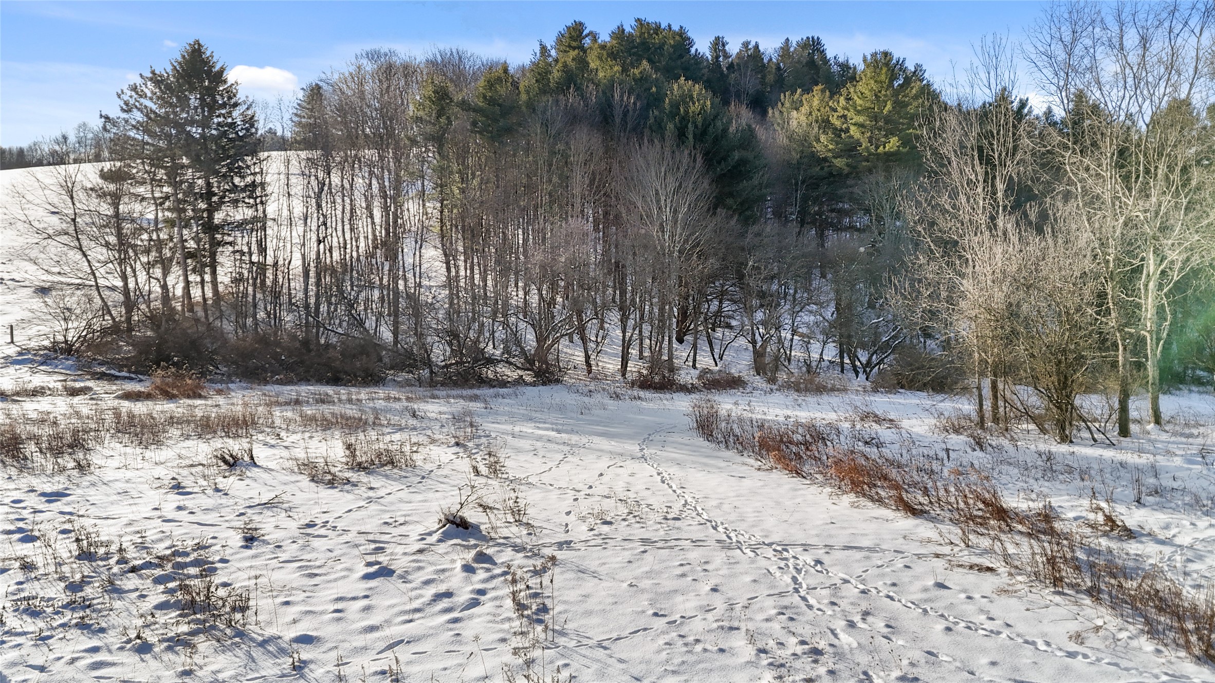 206 Wade Hollow Road Owego, NY 13827 - Photo 3 of 23