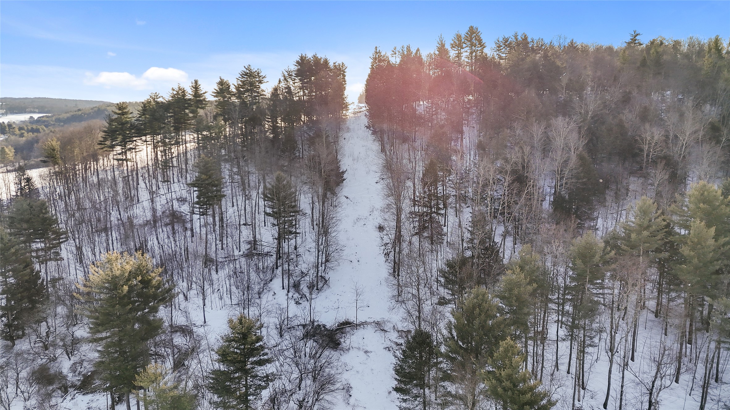 206 Wade Hollow Road Owego, NY 13827 - Photo 7 of 23