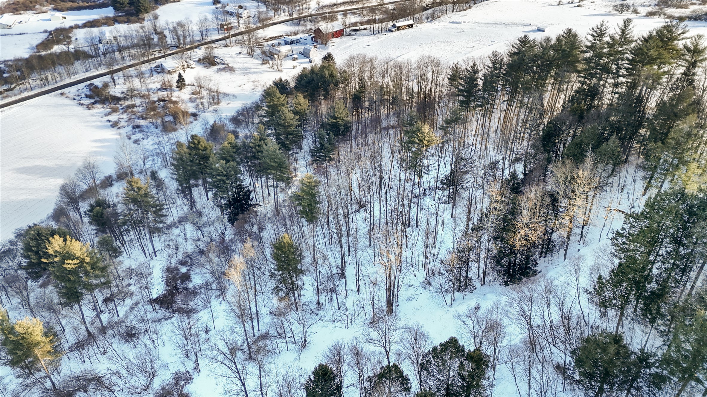 206 Wade Hollow Road Owego, NY 13827 - Photo 9 of 23