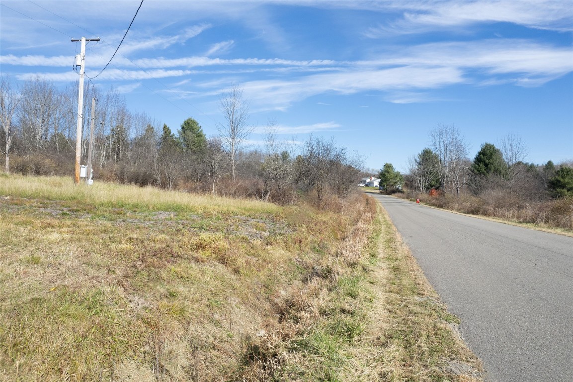 0 Lisle Road West Owego, NY 13827 - Photo 11 of 13