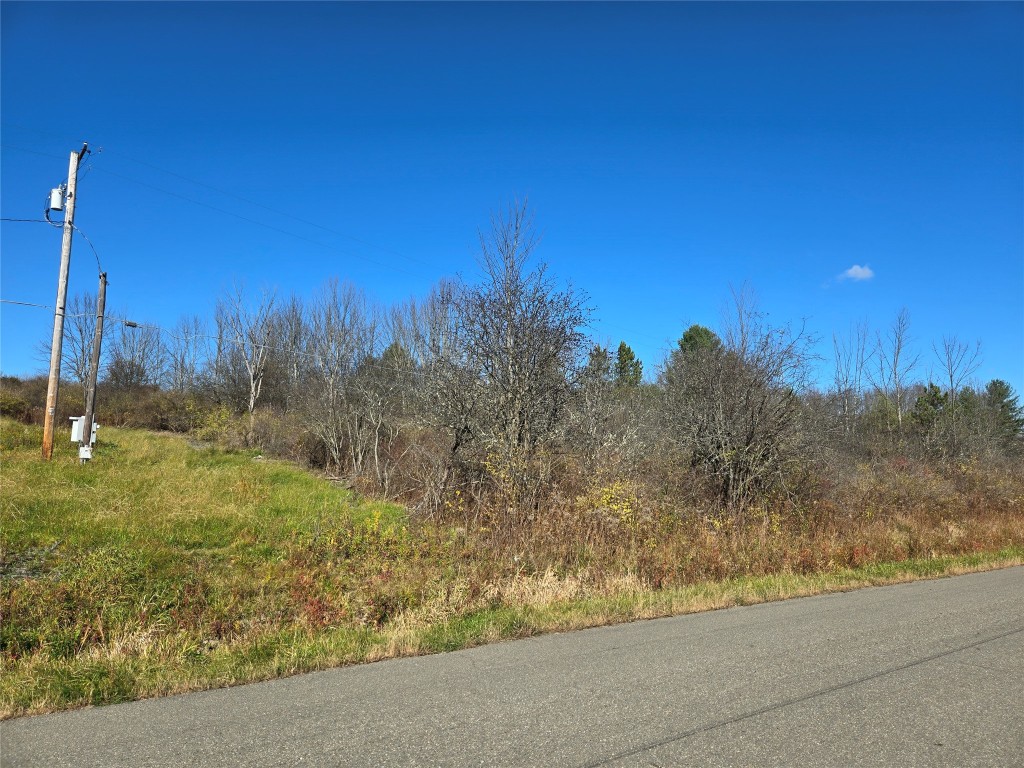 0 Lisle Road West Owego, NY 13827 - Photo 12 of 13