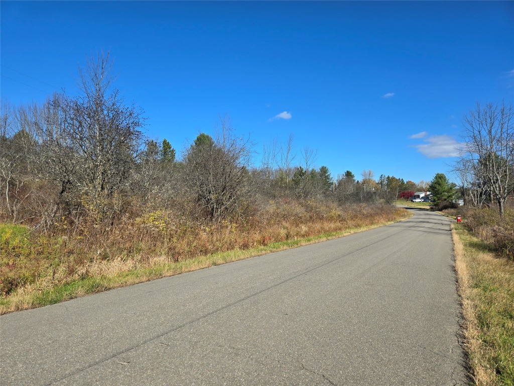 0 Lisle Road West Owego, NY 13827 - Photo 13 of 13