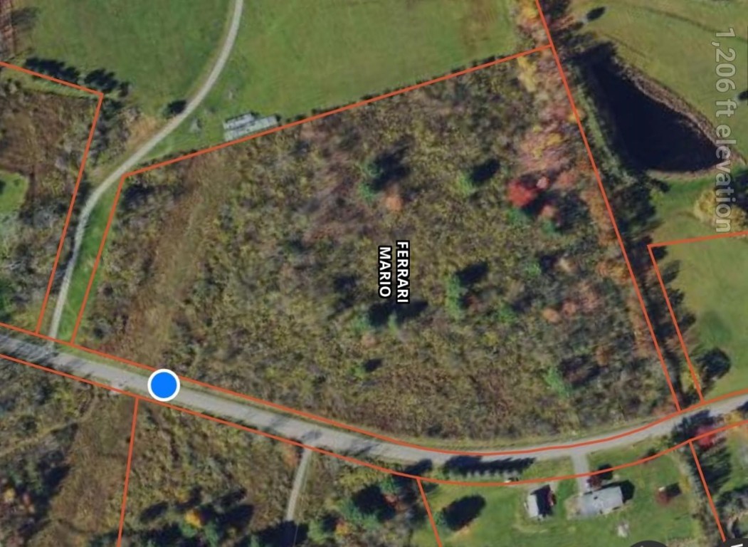0 Lisle Road West Owego, NY 13827 - Photo 2 of 13