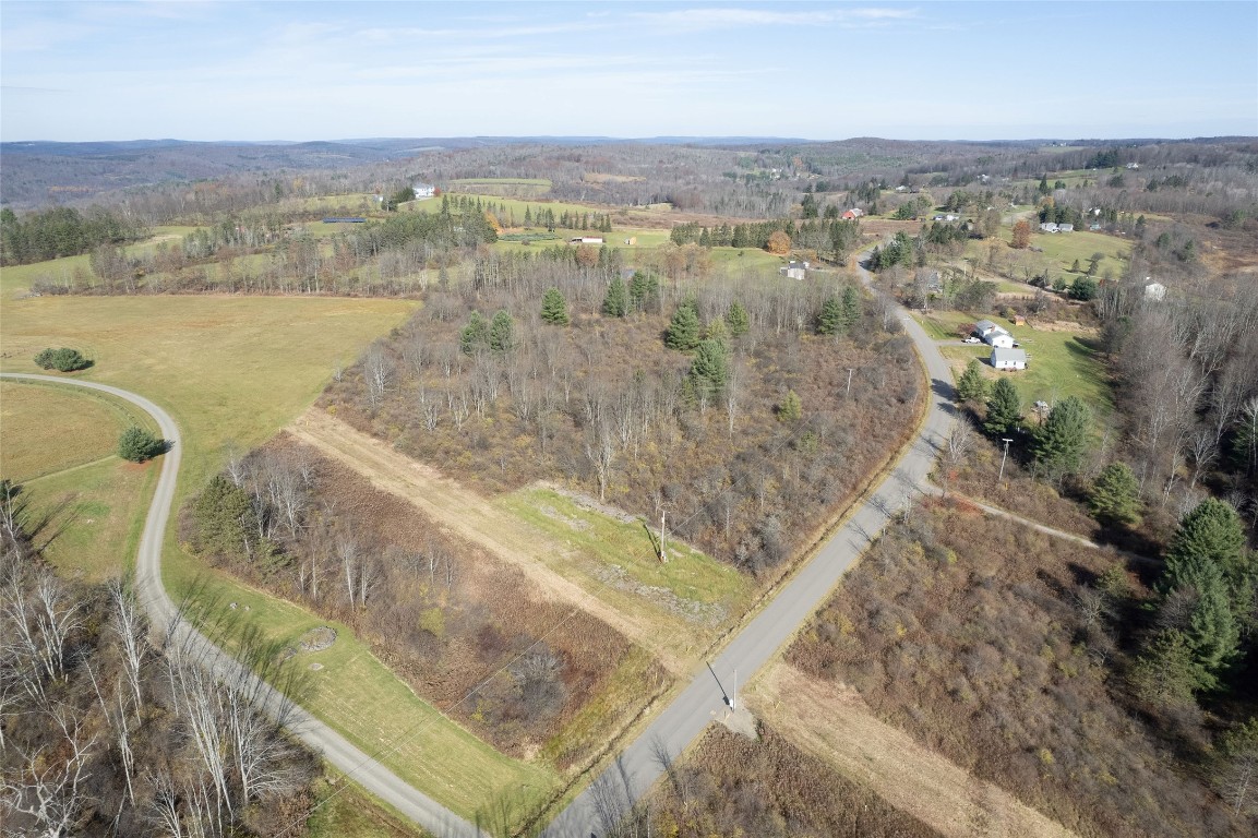 0 Lisle Road West Owego, NY 13827 - Photo 3 of 13