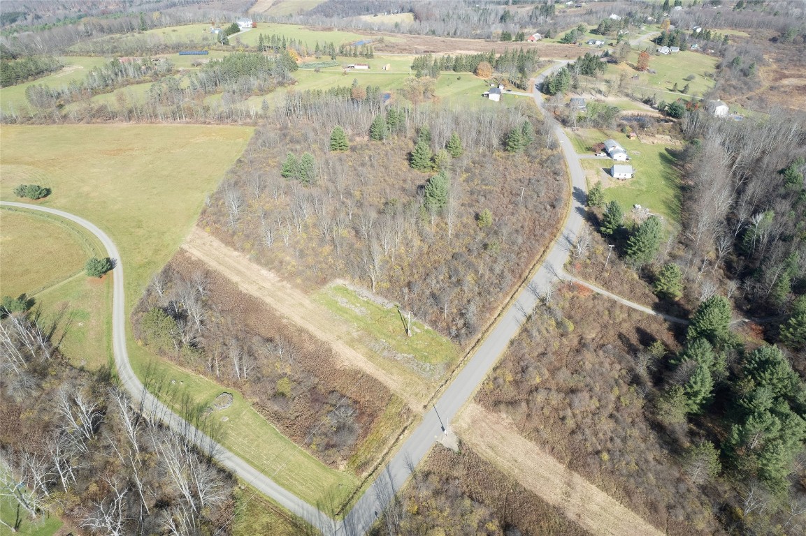0 Lisle Road West Owego, NY 13827 - Photo 4 of 13