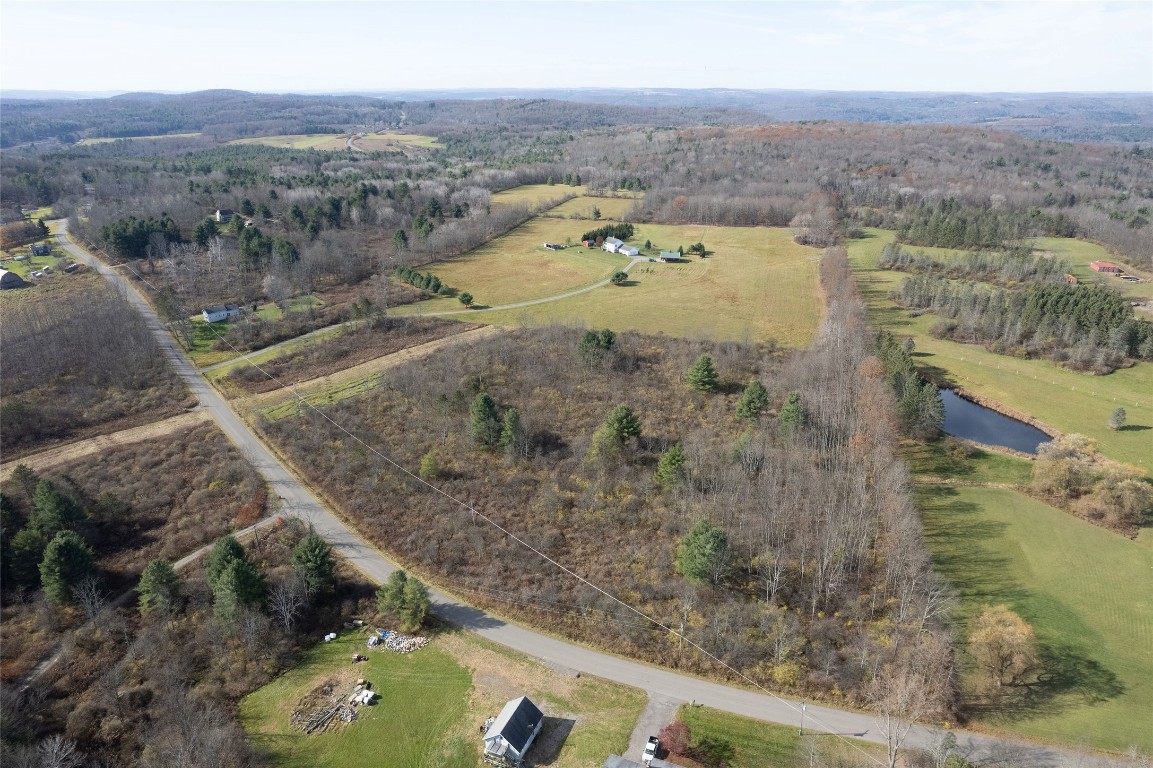 0 Lisle Road West Owego, NY 13827 - Photo 6 of 13
