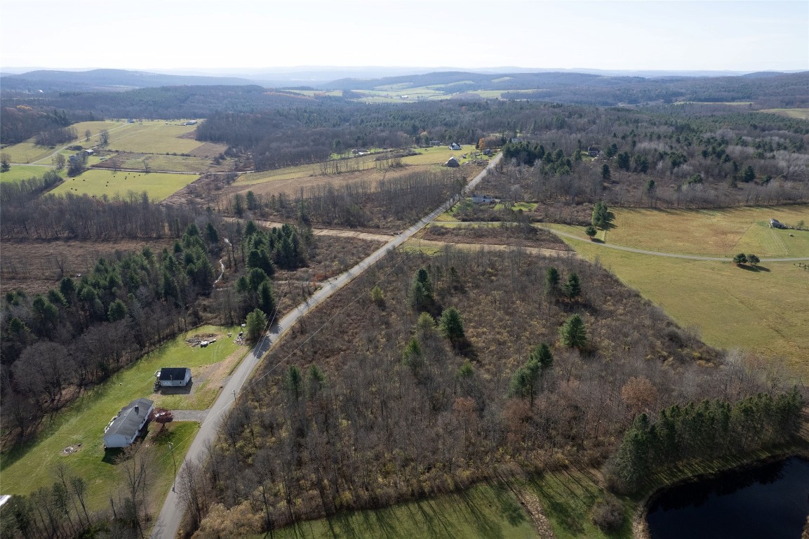0 Lisle Road West Owego, NY 13827 - Photo 7 of 13