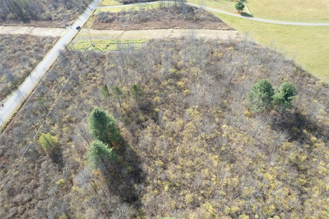 0 Lisle Road West Owego, NY 13827 - Photo 8 of 13