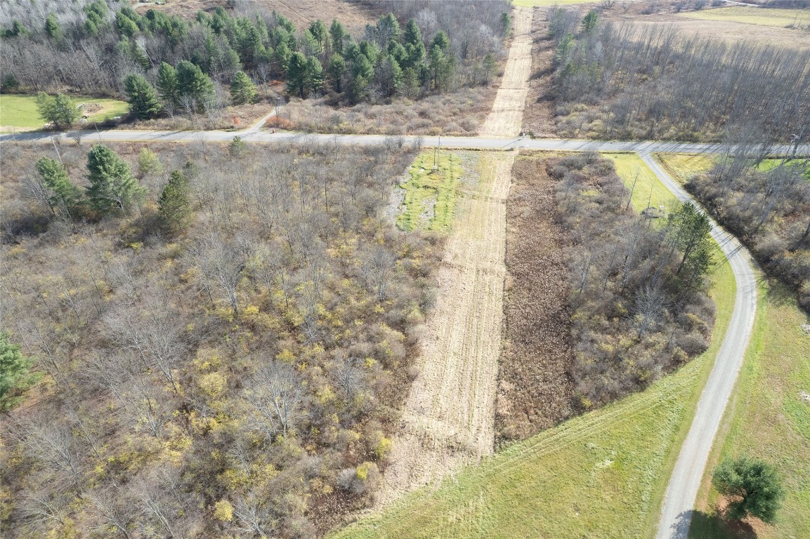 0 Lisle Road West Owego, NY 13827 - Photo 9 of 13