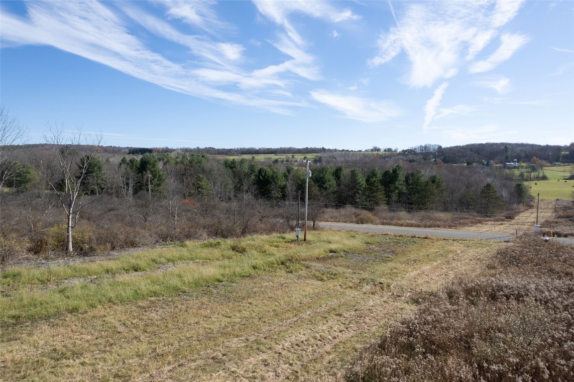 0 Lisle Road West Owego, NY 13827 - Photo 10 of 13