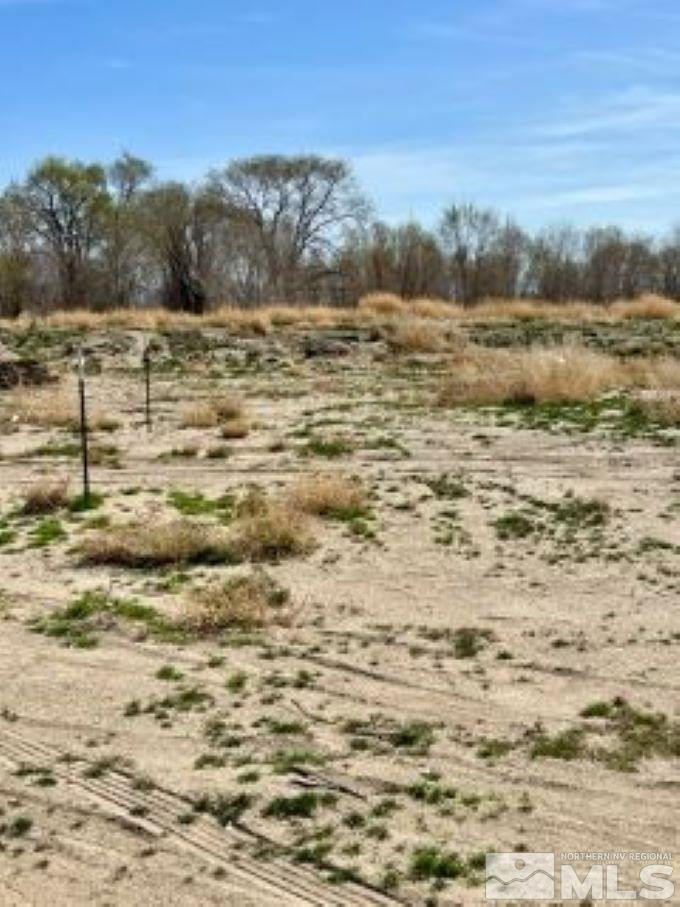 7278 Reno Highway Fallon, NV 89406 - Photo 6 of 17 a view of lake view and mountain