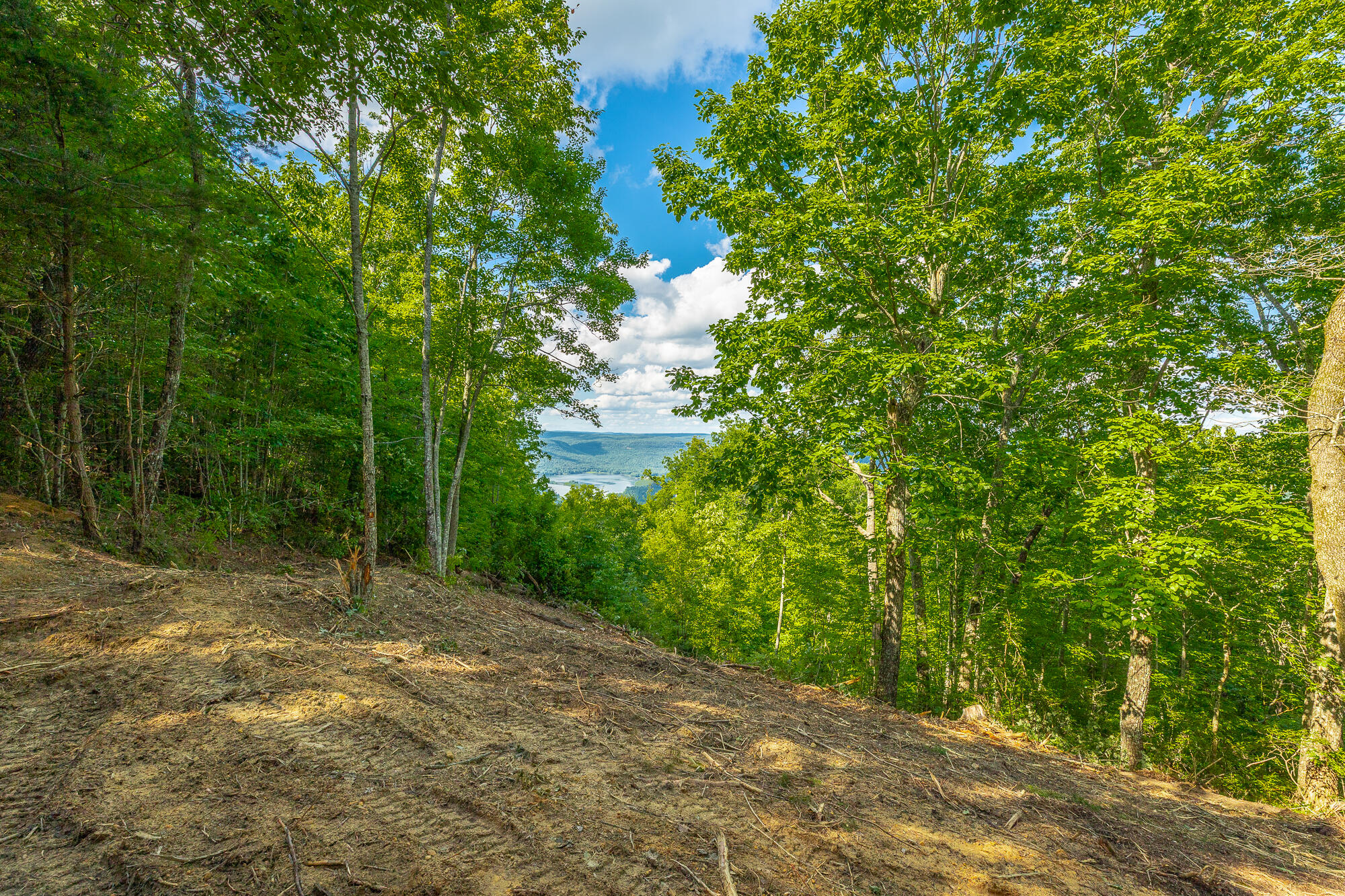 0 Back Basin Trail, Unit LOT 1244 Chattanooga, TN 37419 - Photo 10 of 119 MCW Correction HD-33