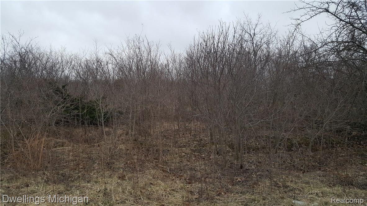 0 Wood Road Erie, MI 48133 - Photo 4 of 4 roadview.jpg