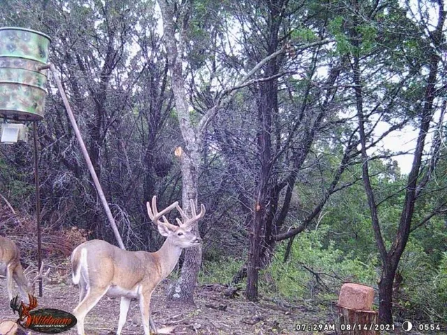 $495,000 | 2131 Iredell Tx 76649, Iredell, TX 76649