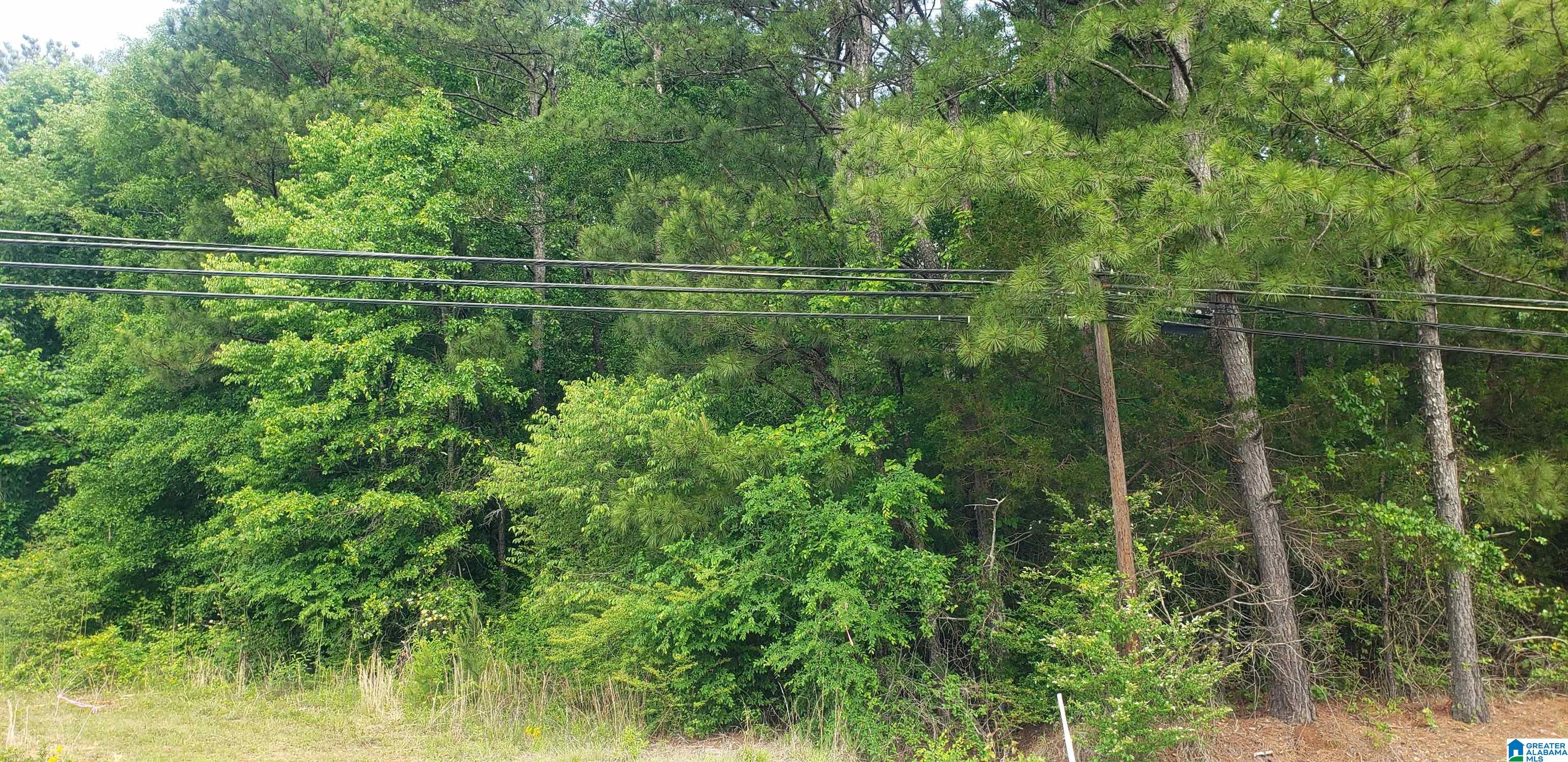 0 Us Highway, Unit 1 Springville, AL 35146 - Photo 5 of 5