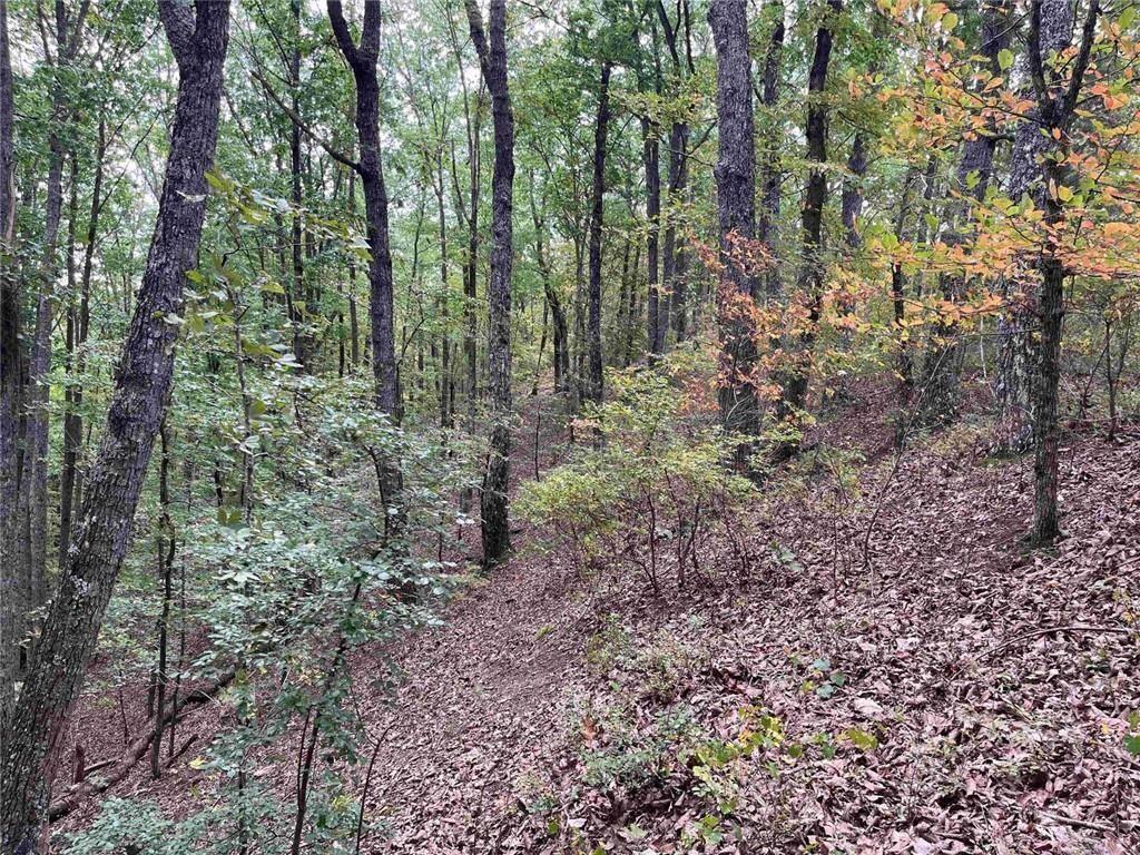 32 Antler Drive Ranger, GA 30734 - Photo 3 of 6 a view of a forest with trees