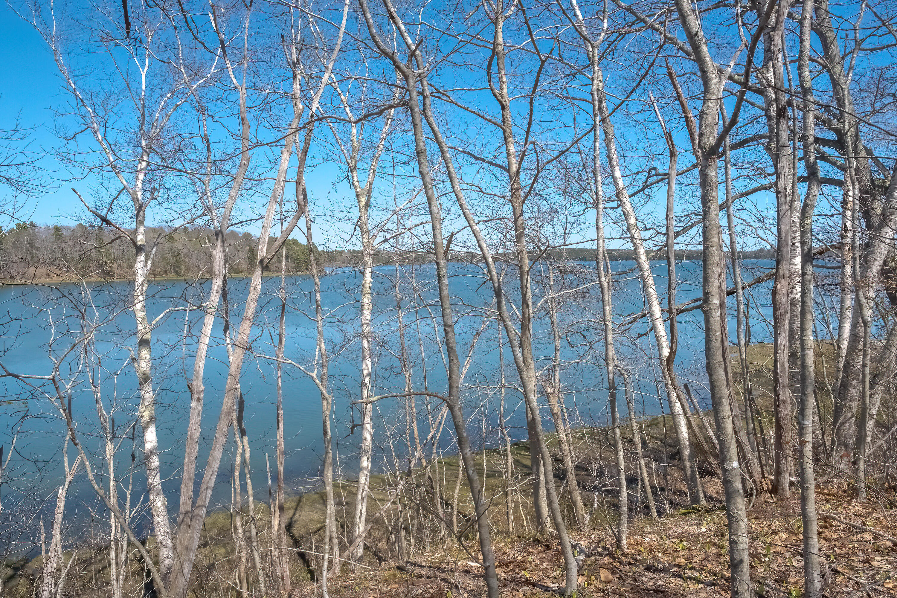 0 Waldoboro Road Bremen, ME 04551 - Photo 2 of 11 20220505_Lot-43A_Route-32_4643