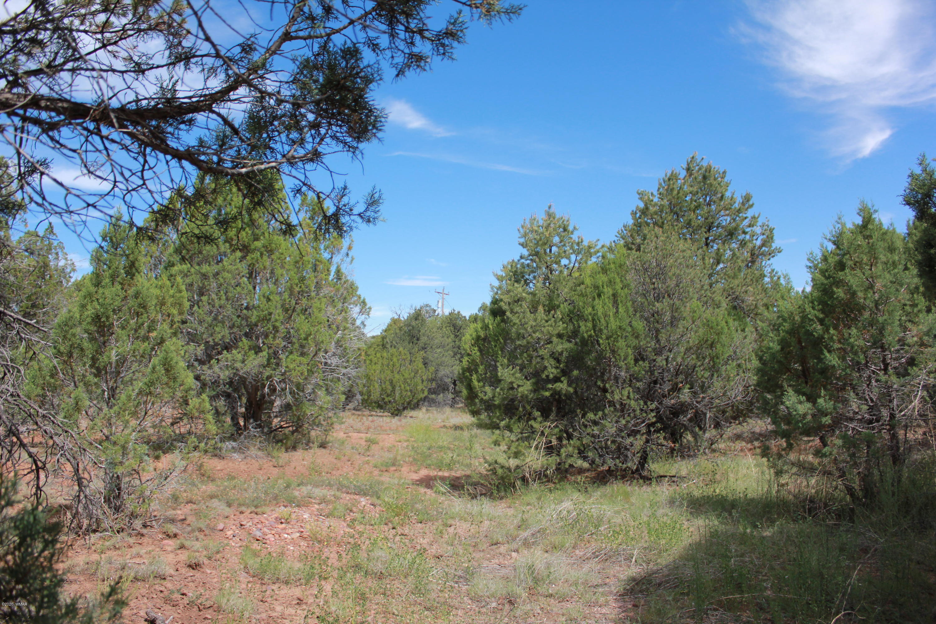 14a St Aripine Az 85933 Overgaard, AZ 85933 - Photo 13 of 35 a view of a forest with trees in the background