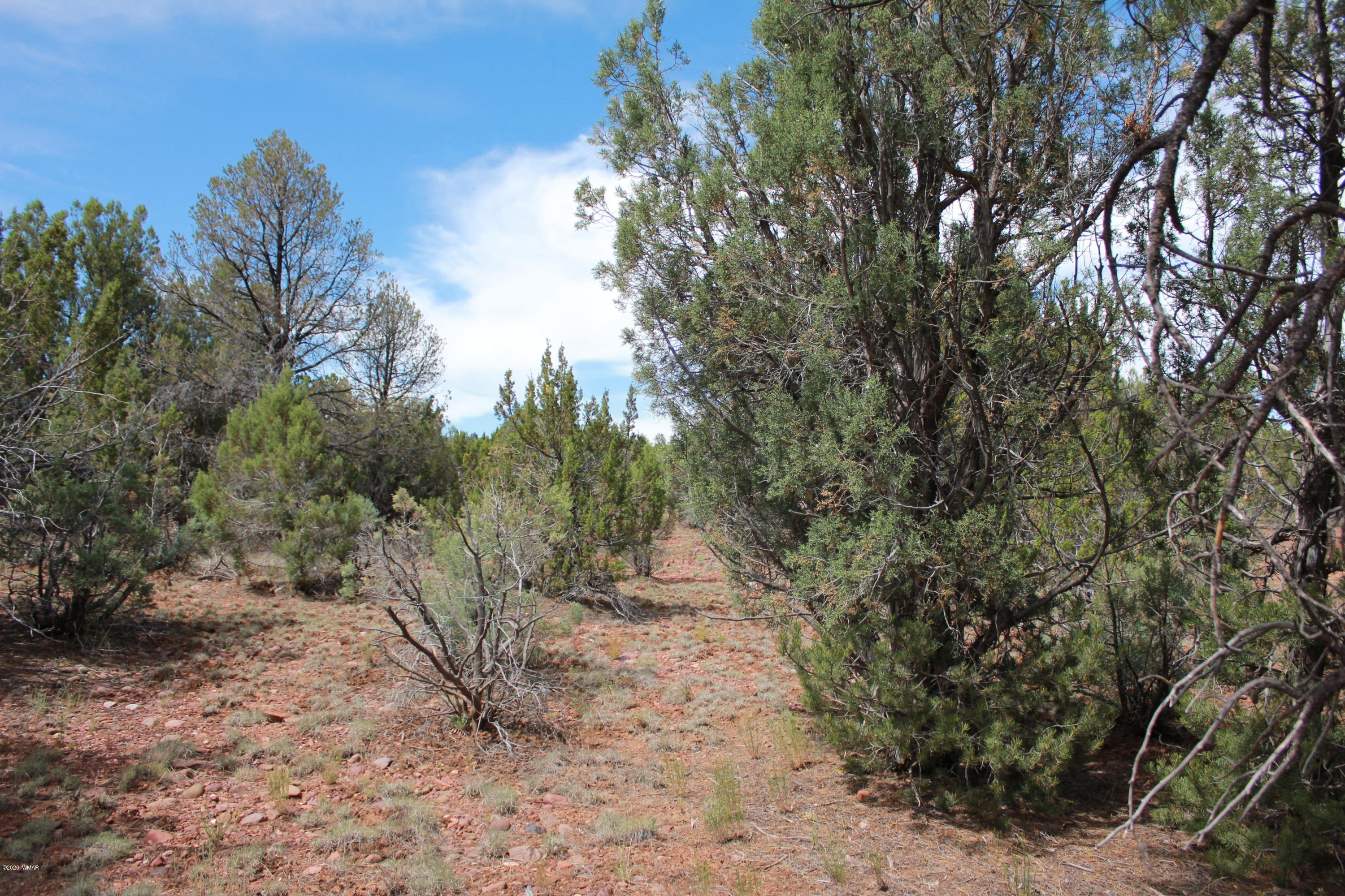 14a St Aripine Az 85933 Overgaard, AZ 85933 - Photo 19 of 35 a view of road and trees